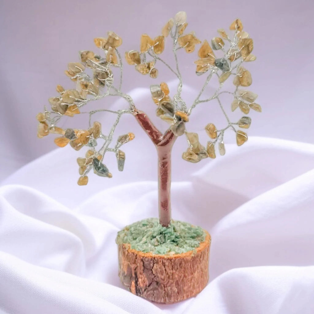 Àrbol De Feng Shui De Labradorita