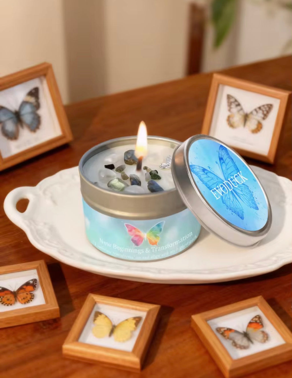 Vela New Beginnings & Transformation