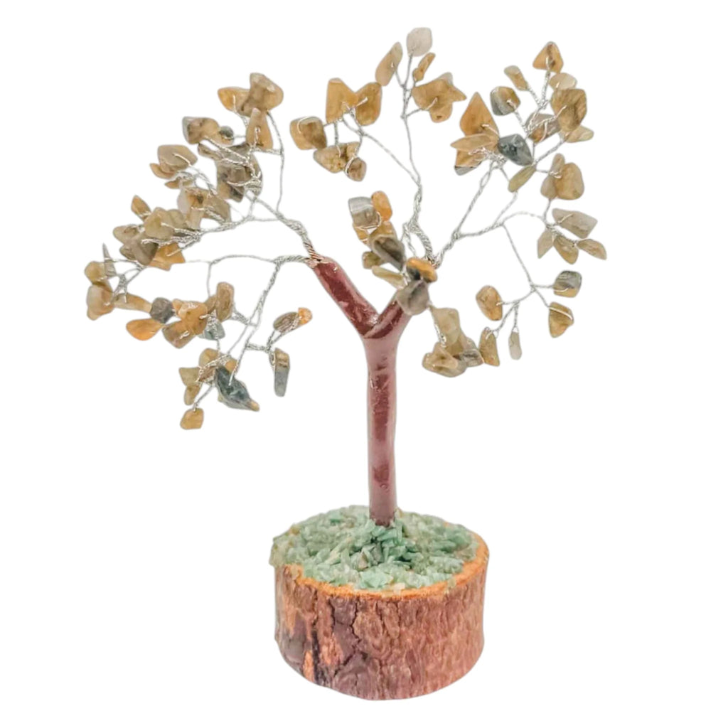 Àrbol De Feng Shui De Labradorita